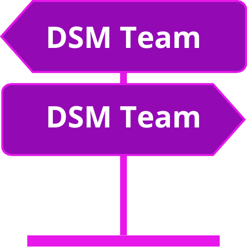 Pourquoi choisir DSM Team